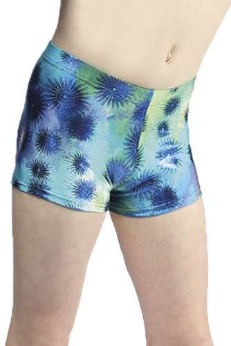 Mondor Printed Shorts (Metallic Fabric)